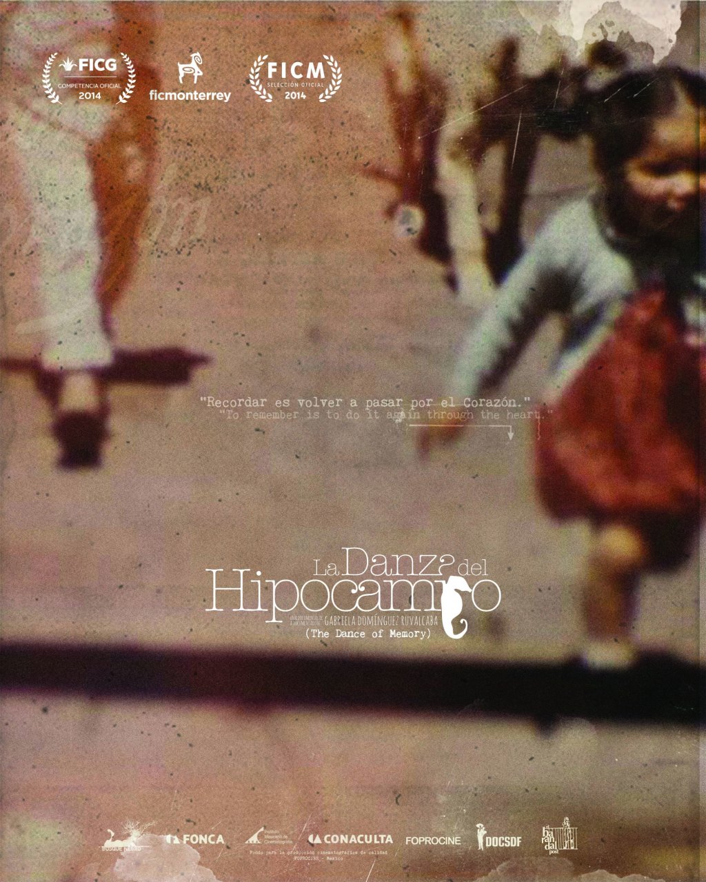 danza hipocampo poster